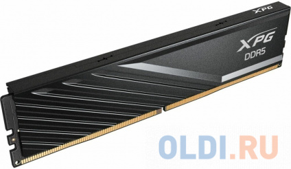      ADATA XPG Lancer Blade DIMM 16Gb DDR5 5600 MHz AX5U5600C4616G-SLABBK  --