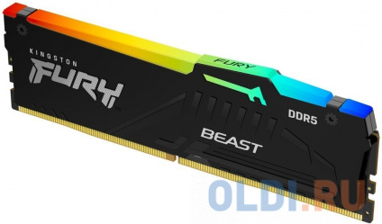     Kingston Fury Beast RGB DIMM 16Gb DDR5 5600 MHz KF556C40BBA-16   