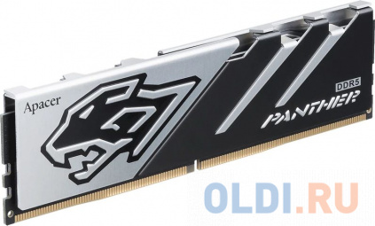    DIMM DDR5-6000 32GB AH5U32G60C6227BAA-1 APACER  -