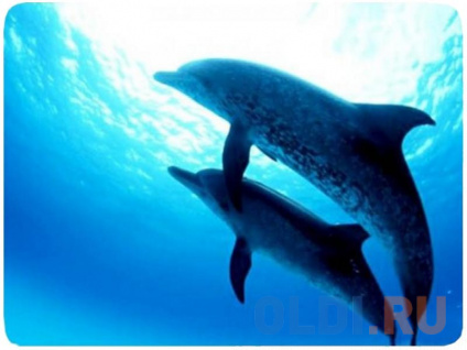     Buro BU-M40083 2301802     