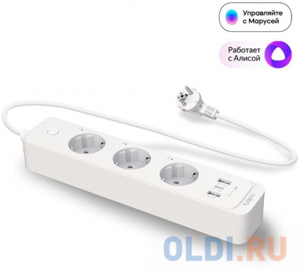  TP-Link Tapo P300     
