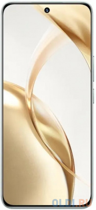 ���� ��������� HONOR 200 8+256Gb ������� (5109BFKC)� � ������������