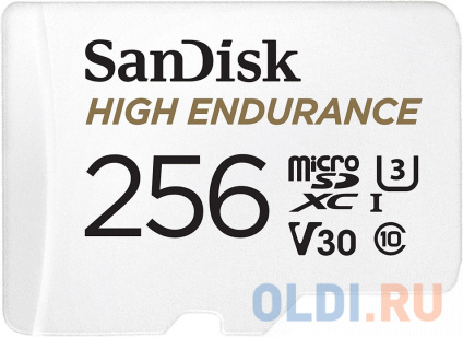    microSD 256GB SanDisk microSDXC Class 10 UHS-I U3 V30 High Endurance Video Monitoring Card  