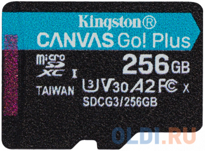    microSDXC 256Gb Kingston Canvas Go Plus  --