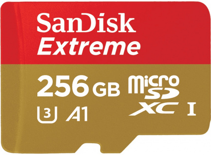    microSD 256GB SanDisk microSDXC Class 10 UHS-I A1 C10 V30 U3 for Nintendo Switch 100MB/s  