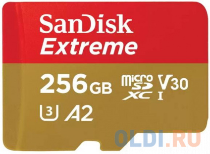    microSDXC 256Gb SanDisk SDSQXAV-256G-GN6MN   