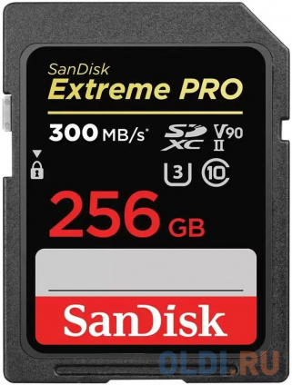    SD XC 256 Gb SanDisk Extreme PRO  