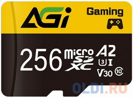    microSDXC 256 Gb AGI TF138 + SD   