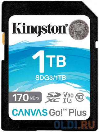    SD XC 1000 Gb Kingston Canvas Go! Plus   