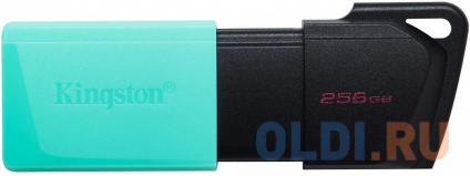   256Gb Kingston DTXM/256GB USB 3.2    --