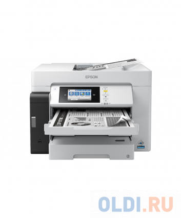    EPSON M15180 (112)  