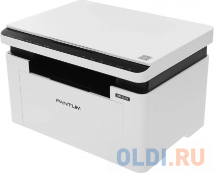   Pantum BM2300  --