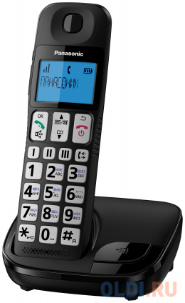   DECT Panasonic KX-TGE110RUB  