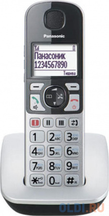   DECT Panasonic KX-TGE510RUS  --