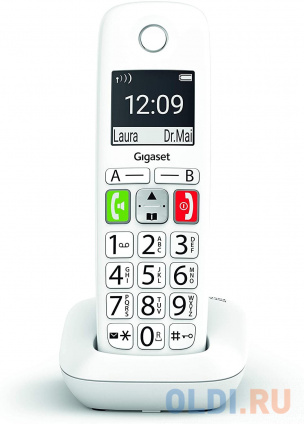   . Dect Gigaset E290HX HSB RUS   E290   