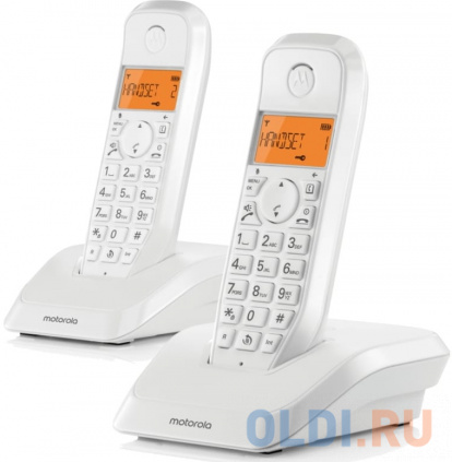  / Dect Motorola S1202   -