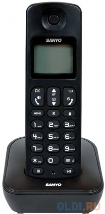  SANYO RA-SD53RUBK    DECT  --
