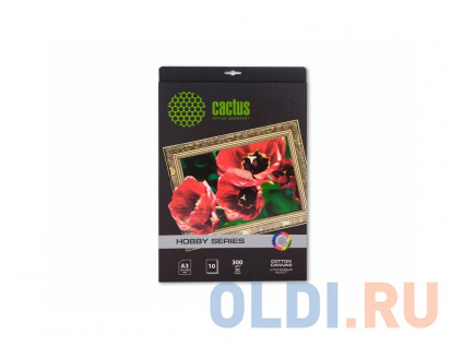   Cactus CS-A326010 3 300 /2 10   