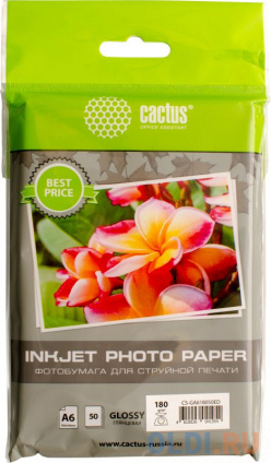   Cactus CS-GA618050ED A6 180/2 50       -