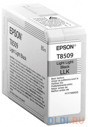   Epson C13T850900  Epson SureColor SC-P800     