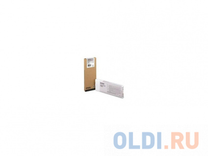   Epson C13T606700 700   