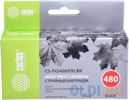    Cactus CS-PGI480XXLBK  (24.4)  Canon Pixma TR7540/TR8540/TS6140/TS8140   