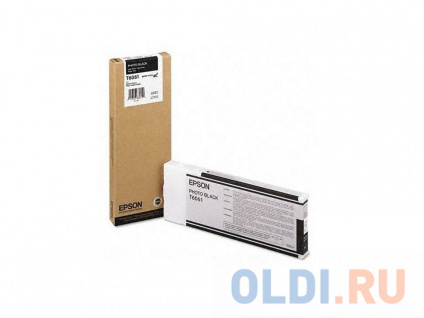   Epson C13T606100  Epson Stylus Pro 4880 Photo Black   --