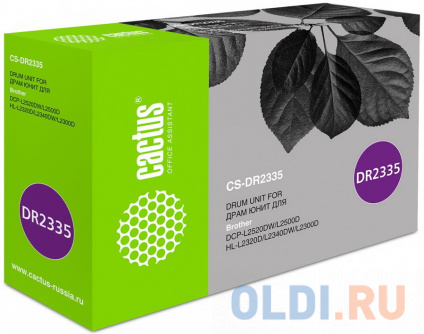   Cactus CS-DR2335 12000    