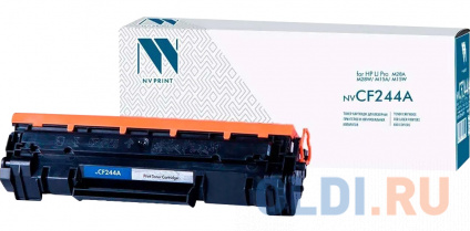   NV-Print CF244A 1000   