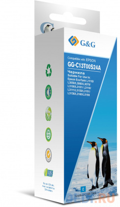   G&G GG-C13T00S24A 70  L1110, L3151, L3100, L3101, L3110, L3150  