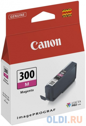  PFI-300 M EUR/OCN  --