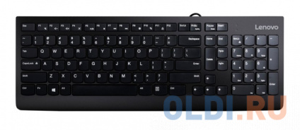   Lenovo 300 USB (GX30M39684)  
