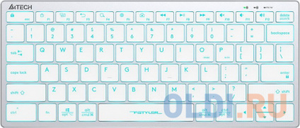   A4TECH FX61 White USB  --