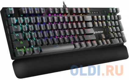   A4Tech Bloody B825R   USB for gamer LED (  ) (B825R (RED SWITCHES))  