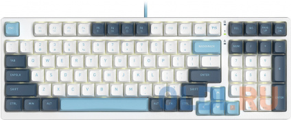   A4Tech Fstyler FS300  / USB for gamer LED (FS300 PANDA SNOWBOARDING)  