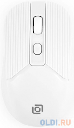   Oklick 509MW white, , , USB,  [1885186]  