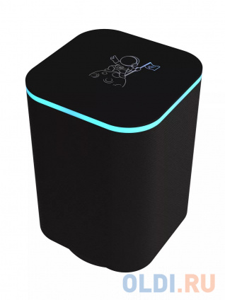  RITMIX SP-340B black  