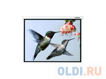    Lumien Master Picture 162280 Matte White FiberGlass LMP-100117  