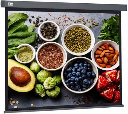   Cactus Wallscreen CS-PSW-152X203-SG 203 x 152   