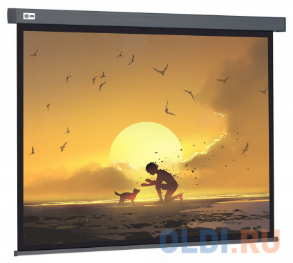   Cactus 124.5x221 Wallscreen CS-PSW-124X221-SG 16:9 -    --