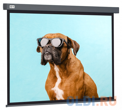   Cactus 149.4x265.7 Wallscreen CS-PSW-149X265-SG 16:9 -    -