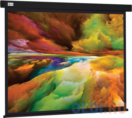   Cactus 206x274 Wallscreen CS-PSW-206X274-BK 4:3 -    -