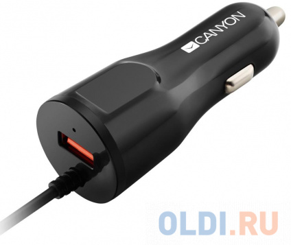     Canyon CNE-CCA031B-US 2.4 microUSB   
