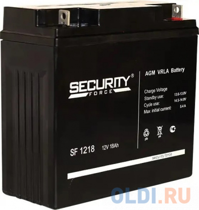  SF 1218 Security Force     