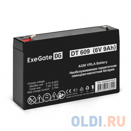    ExeGate DT 609 (6V 9Ah,  F1)   