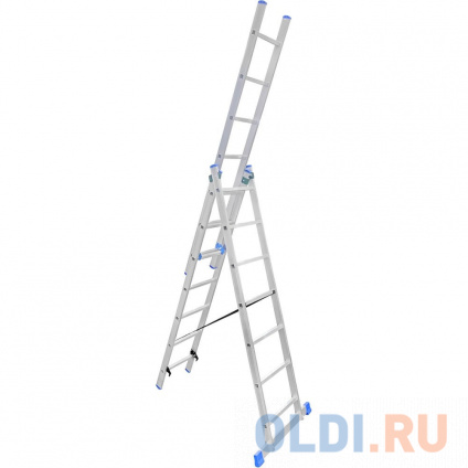  LadderBel    7  LS307  