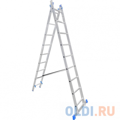  LadderBel    9  LS209  -