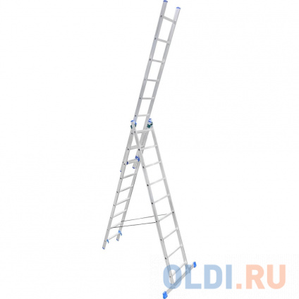 LadderBel    9  LS309  