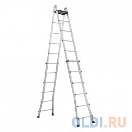  Svelt -  Scalissima 12+12R  SSCAL012R  