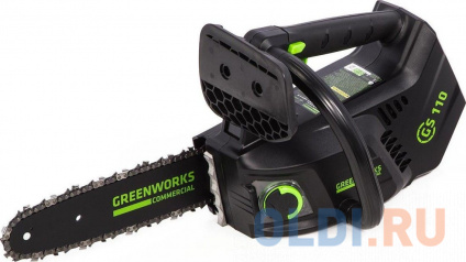  GreenWorks     40 25 2003807  